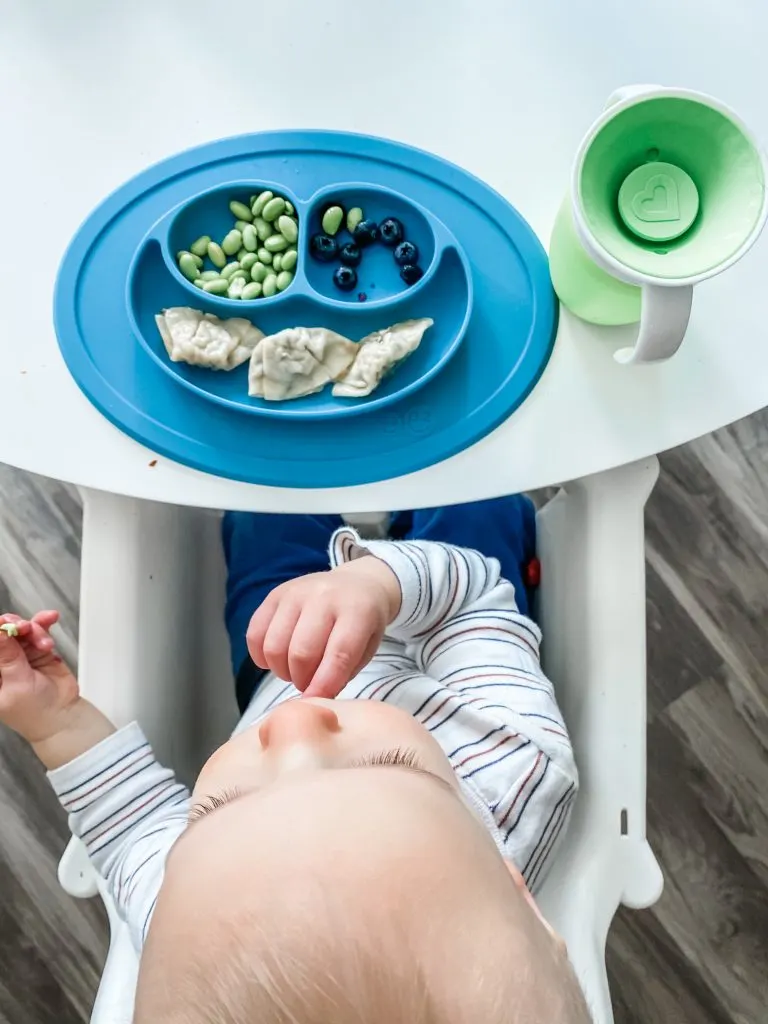a 16 month old eating dumplings, edamame, and blueberries