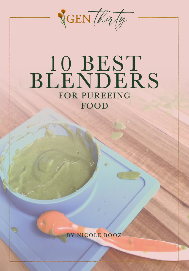 10 Top of The Line Blenders For Pureeing Food
