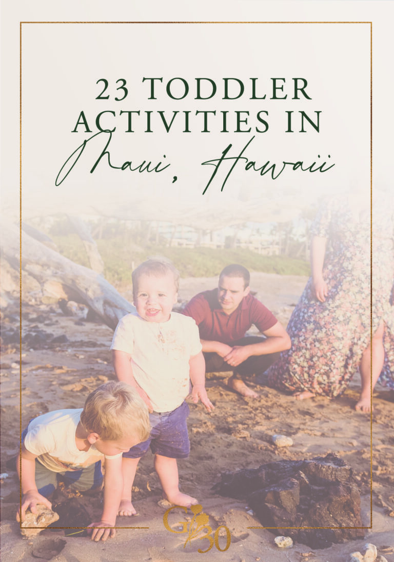23 Maui Toddler Activities