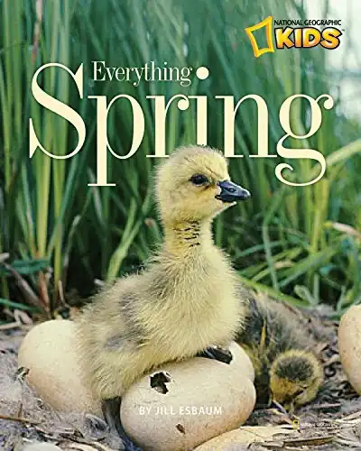 Everything Spring (Picture the Seasons)