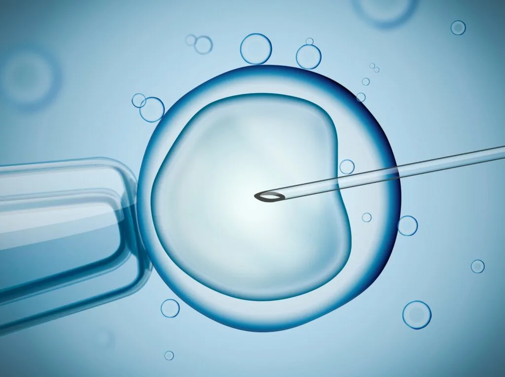 ivf procedure needle going into an egg